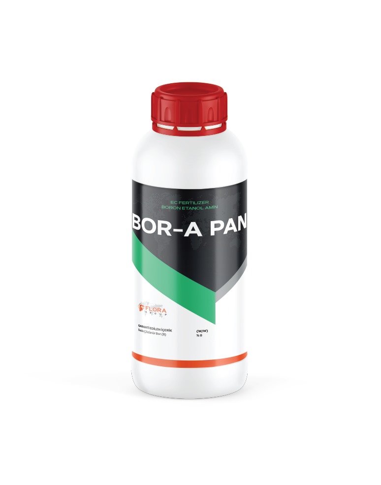 BOR-A PAN