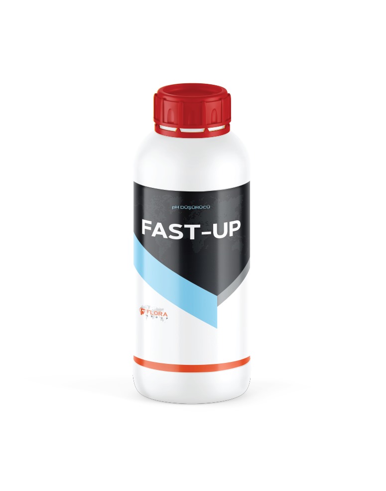 FAST UP
