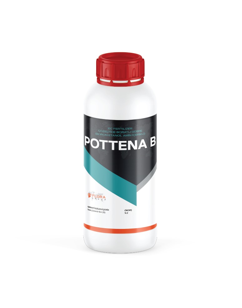 POTTENA B
